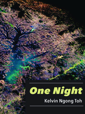 cover image of One Night